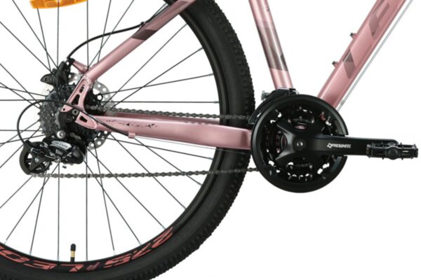 Stražnji kotači bicikla, lanac i prijenosnik brzina.