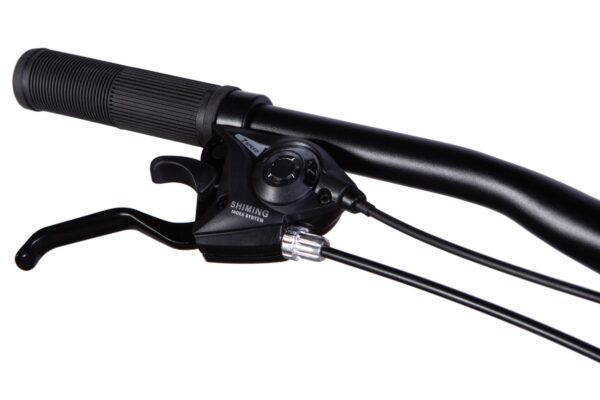 Ručica kočnice i mjenjač bicikla na upravljaču