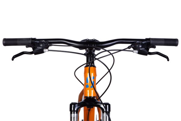 Volan i ručke bicikla s kočnicama