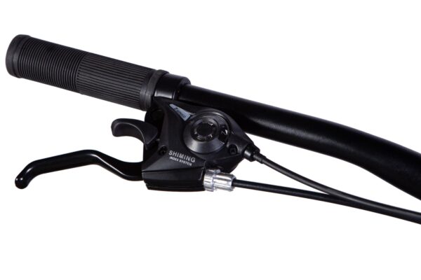 Ručica kočnice i mjenjača na biciklu