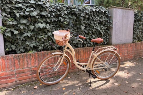 Bicikl s košarom ispred zidane ograde.