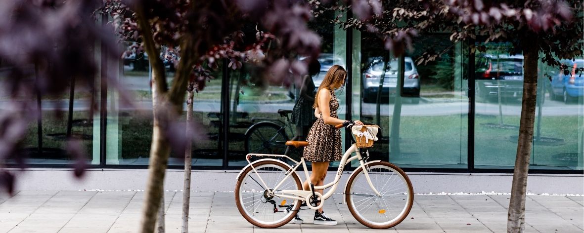 davibikes (1181 x 354 px)